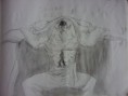 /album/dibujos-creados-por-javygarcianoh-gmail-com/p1040309-jpg/